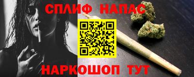 СК Моздок