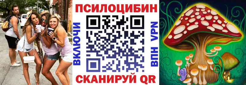 Галлюциногенные грибы мицелий  Дальнереченск 