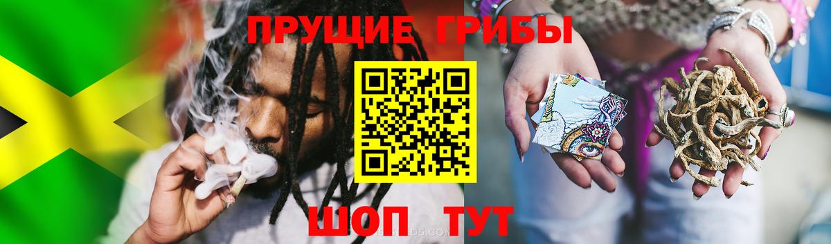 Псилоцибиновые грибы Magic Shrooms  Псилоцибиновые грибы Cubensis  Вход с VPN  Дальнереченск 