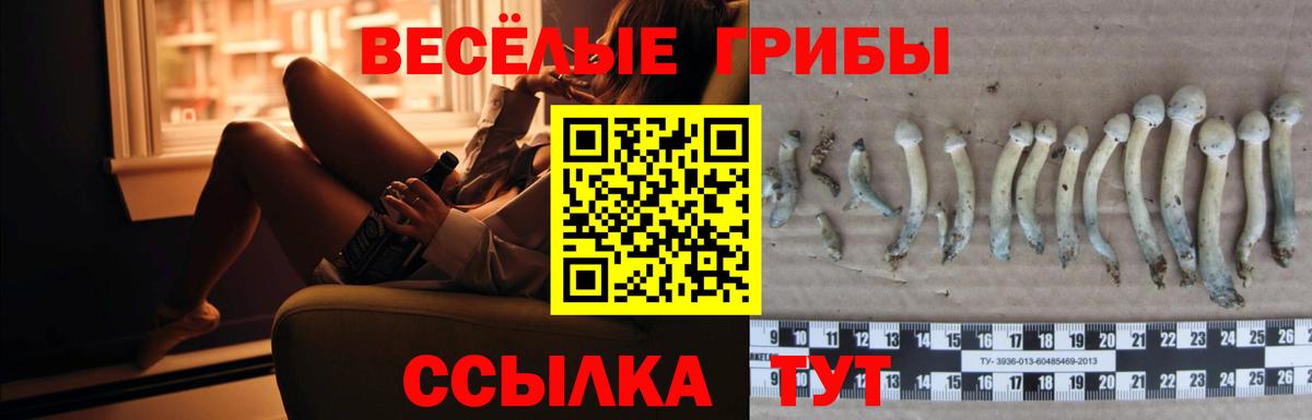 Псилоцибиновые грибы прущие грибы Дальнереченск
